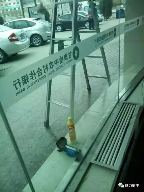 榆中永潔家政 用心服務(wù)，潔誠(chéng)為你，水暖改造的放心之選
